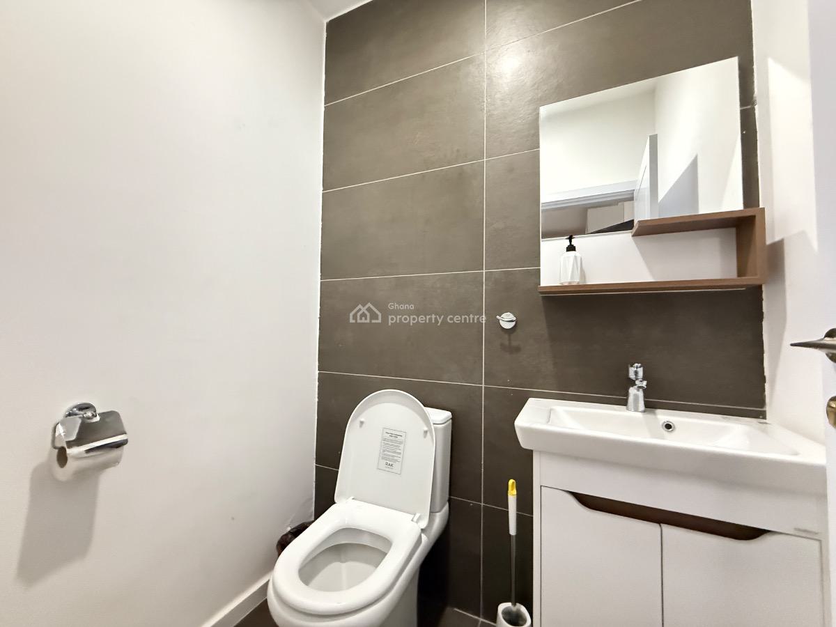 Fully Serviced 1 Bedroom Apartment with Swimming Pool, Cantonments, Accra, Mini Flat for Rent