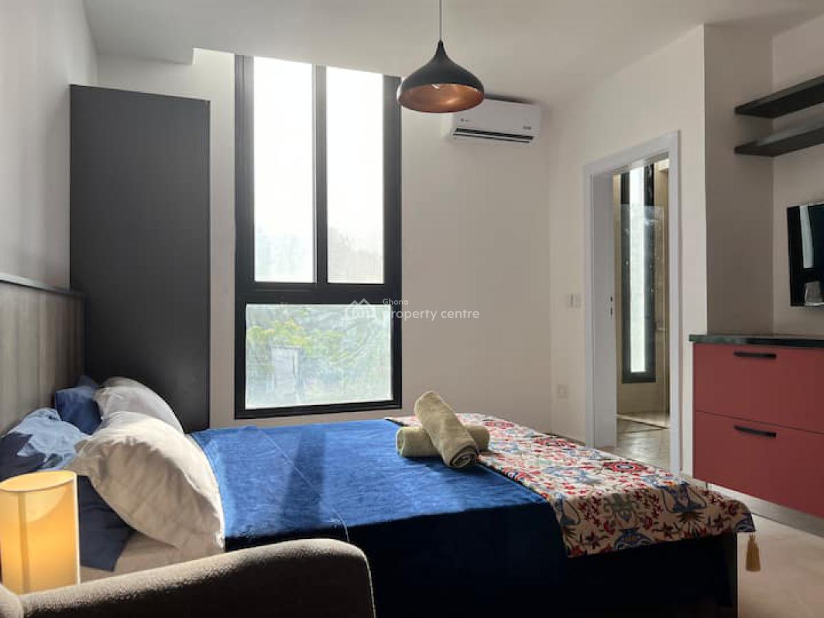 Fully Serviced Studio Apartment with Swimming Pool, Cantonments, Accra, Single Room Self Contained for Rent