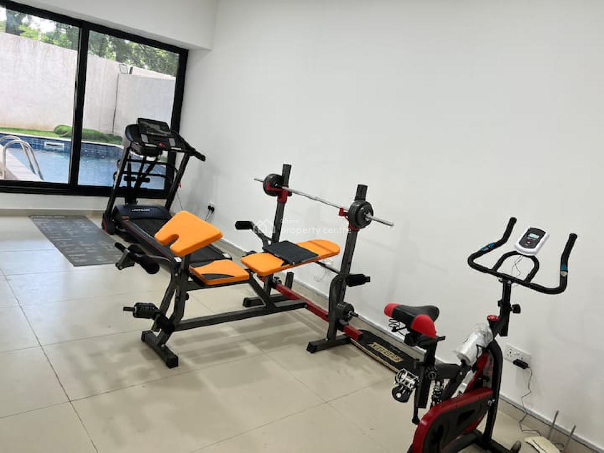 Furnished 1 Bedroom Apartment with Swimming Pool and Gym, Cantonments, Accra, Mini Flat Short Let