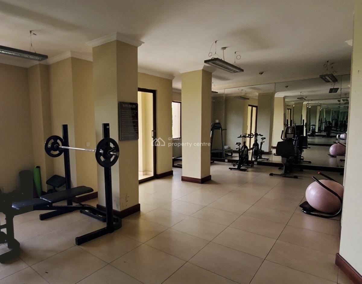 Furnished 1 Bedroom Apartment with Swimming Pool and Gym, Cantonments, Accra, Mini Flat for Rent