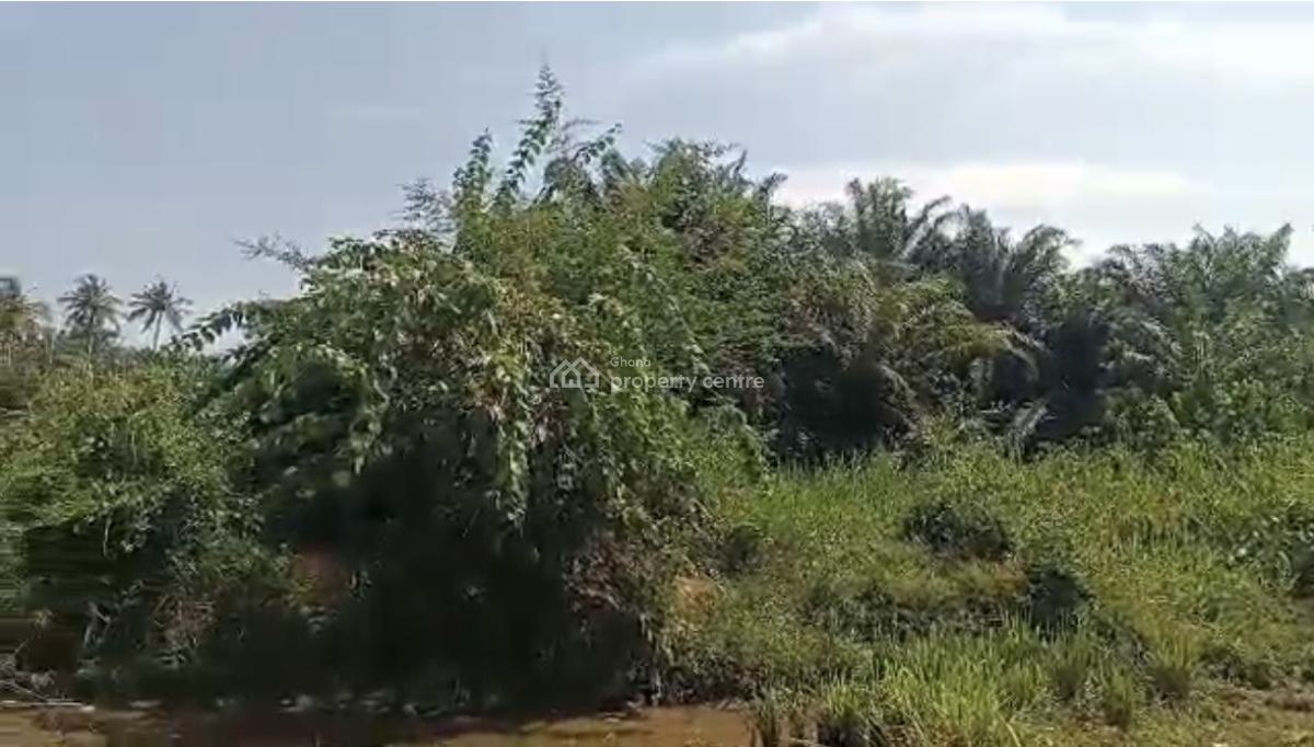 45 Acres Available Near Takoradi Cocobod (kejebril)), Takoradi, Sekondi-takoradi, Western Region, Industrial Land for Sale