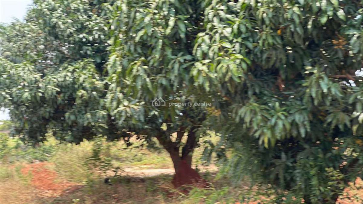 3plots of Land in Ada Towmship, Ada Junction, Ada East, Accra, Mixed-use Land for Sale