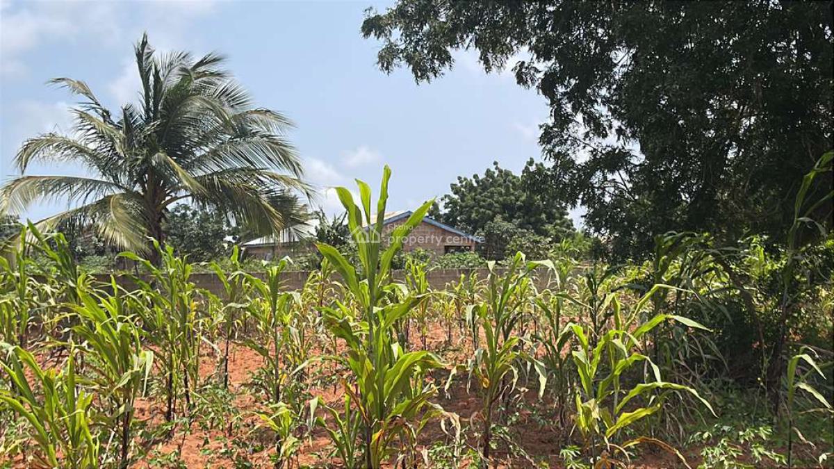 3plots of Land in Ada Towmship, Ada Junction, Ada East, Accra, Mixed-use Land for Sale