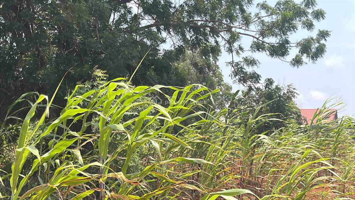 3plots of Land in Ada Towmship, Ada Junction, Ada East, Accra, Mixed-use Land for Sale