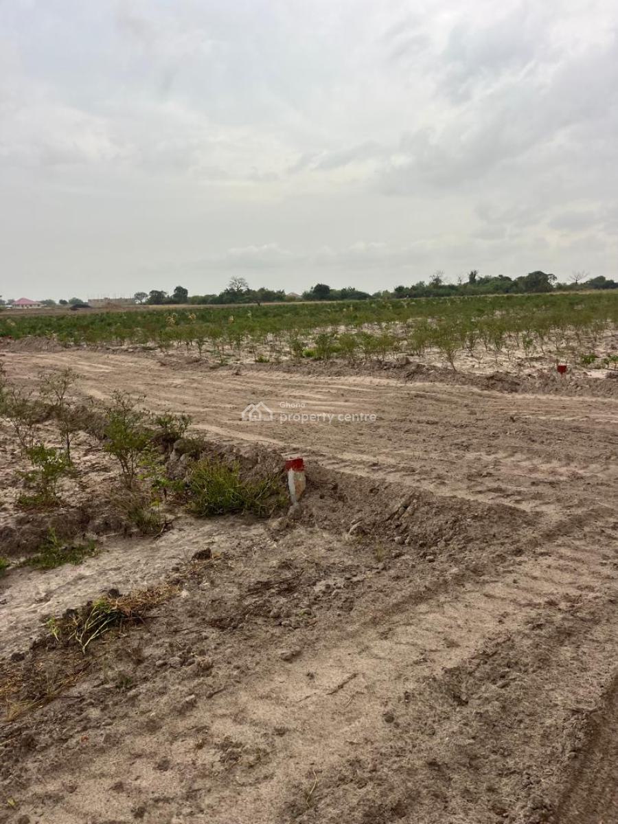 Peaceful Land Property -- Perfect for Your Dream Project, Tsopoli, Ningo Prampram District, Accra, Mixed-use Land for Sale