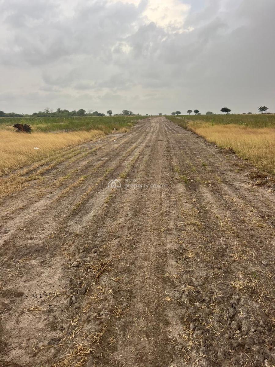 Peaceful Land Property -- Perfect for Your Dream Project, Tsopoli, Ningo Prampram District, Accra, Mixed-use Land for Sale