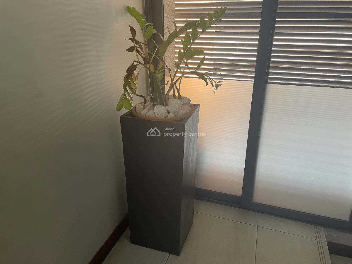 Furnished 4-bedroom Apartment, 4 Tana, 3 Anobaa, Airport Residential Area, Accra, Apartment for Sale