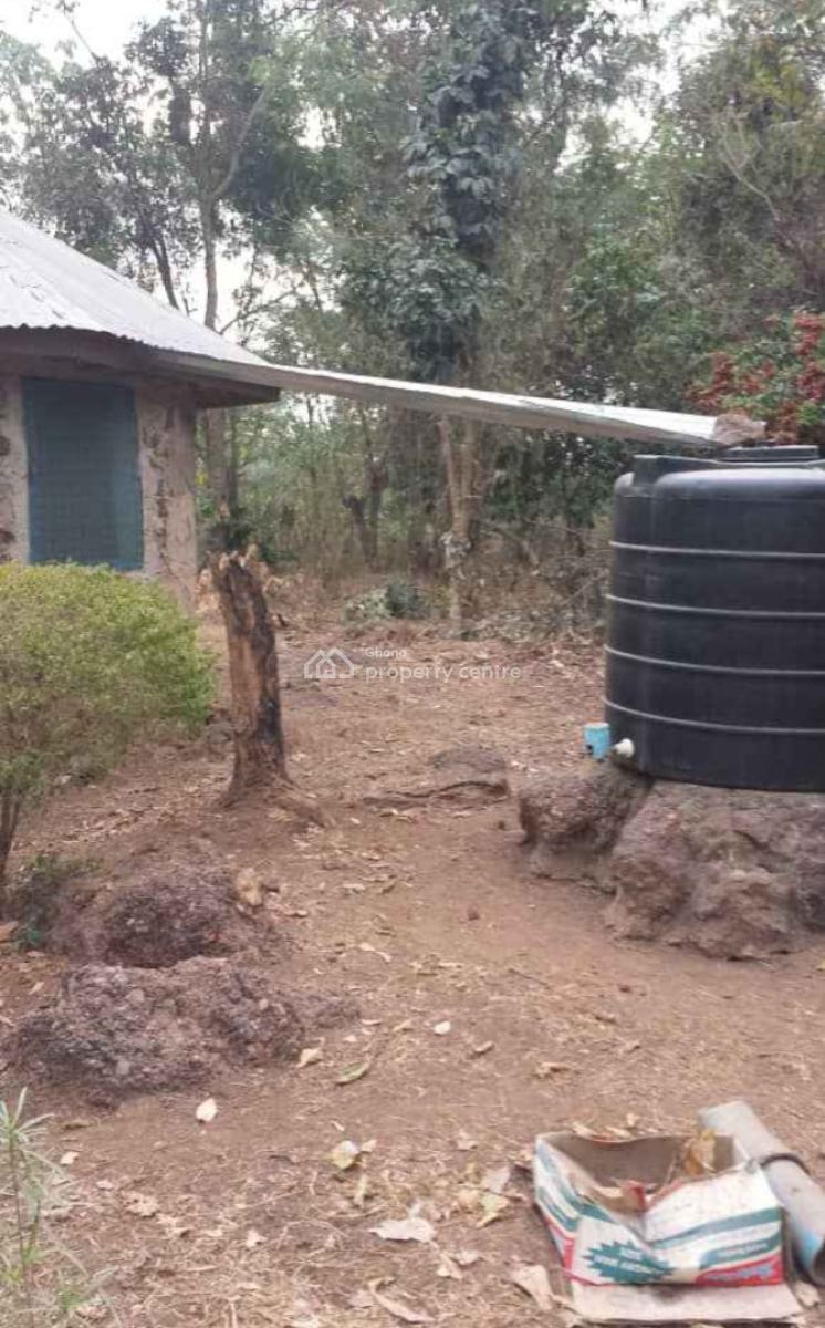 20 Acres Cashew & Mango Farm, Esiresu, Near Odumase, on Abronye Bofokrom Road., Sunyani Municipal, Brong Ahafo, Commercial Property for Sale