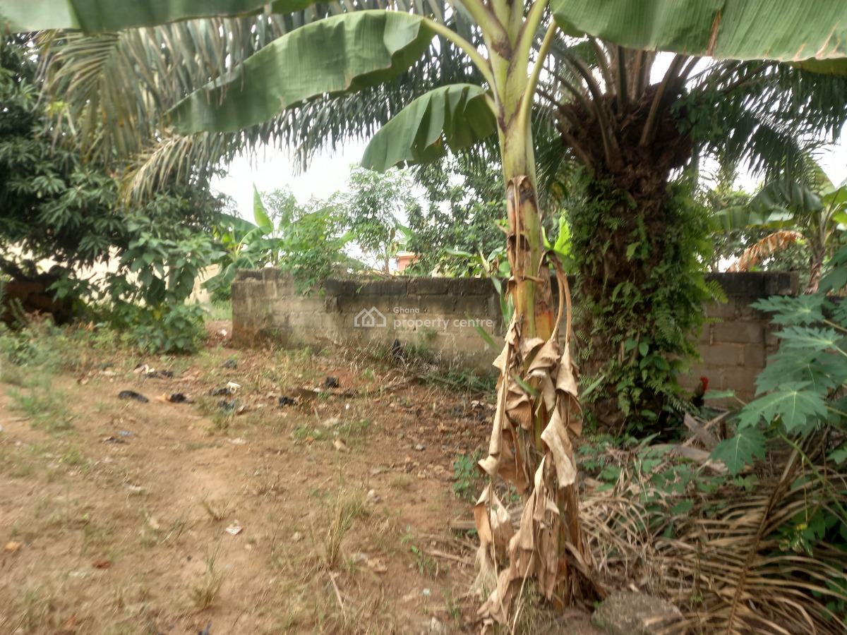 Plot  ( 120*100), Abrepo Bronikrom., Kumasi Metropolitan, Ashanti, Land for Sale