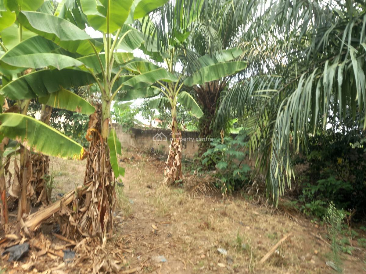 Plot  ( 120*100), Abrepo Bronikrom., Kumasi Metropolitan, Ashanti, Land for Sale