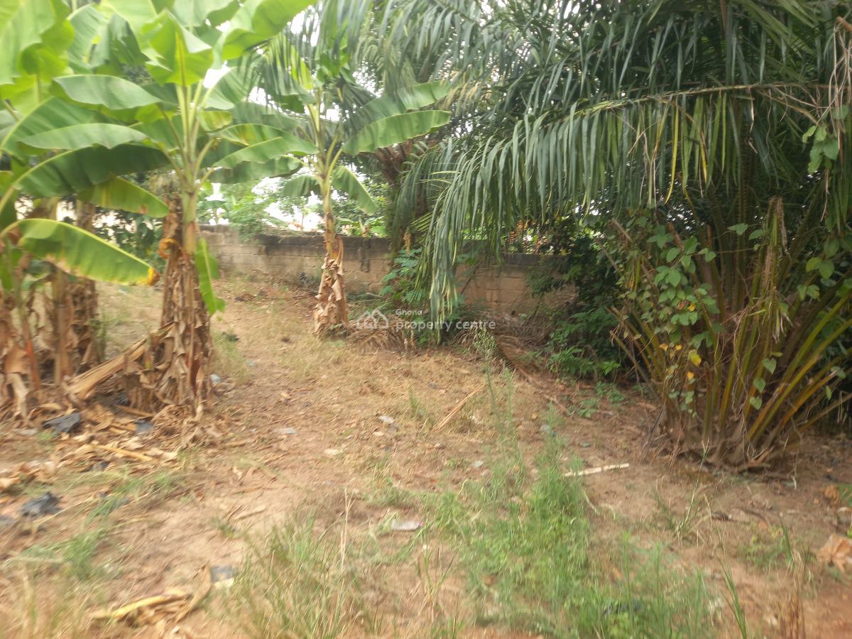 Plot  ( 120*100), Abrepo Bronikrom., Kumasi Metropolitan, Ashanti, Land for Sale