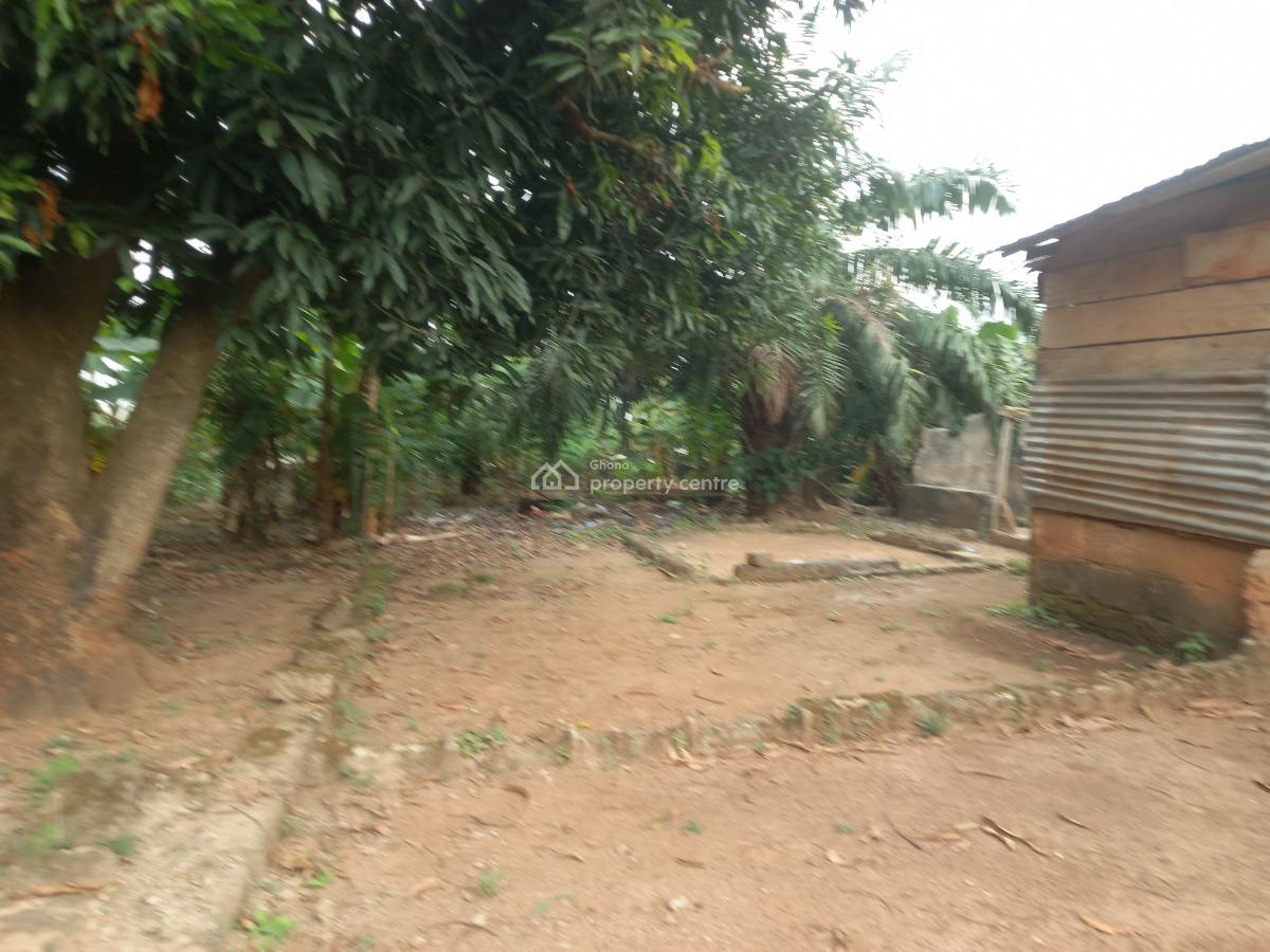 Plot  ( 120*100), Abrepo Bronikrom., Kumasi Metropolitan, Ashanti, Land for Sale