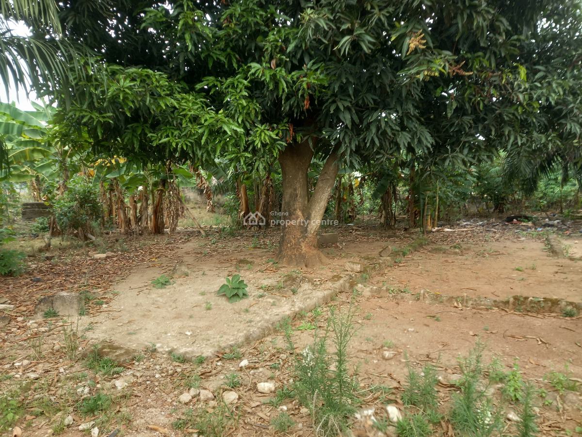 Plot  ( 120*100), Abrepo Bronikrom., Kumasi Metropolitan, Ashanti, Land for Sale