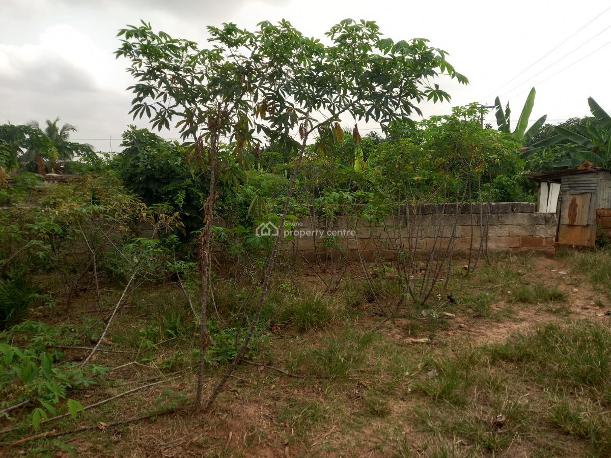 Plot  ( 120*100), Abrepo Bronikrom., Kumasi Metropolitan, Ashanti, Land for Sale