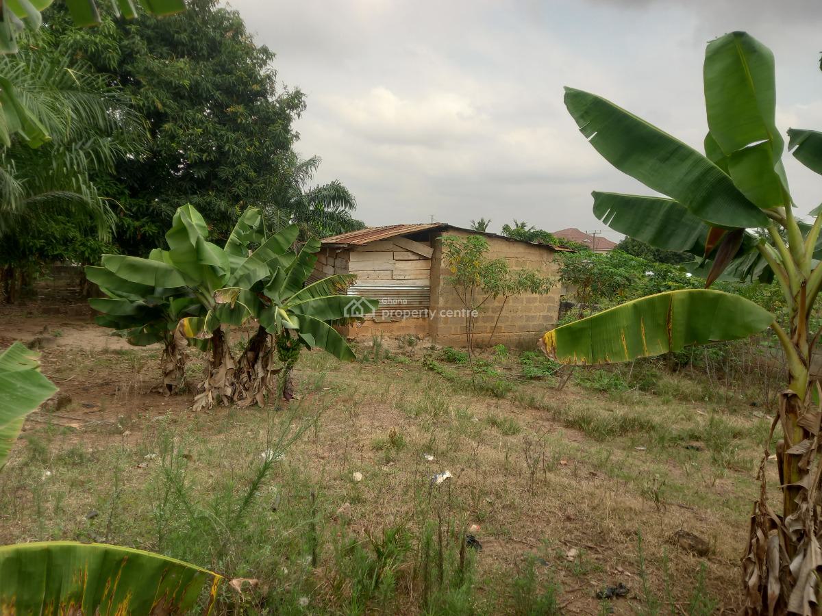 Plot  ( 120*100), Abrepo Bronikrom., Kumasi Metropolitan, Ashanti, Land for Sale