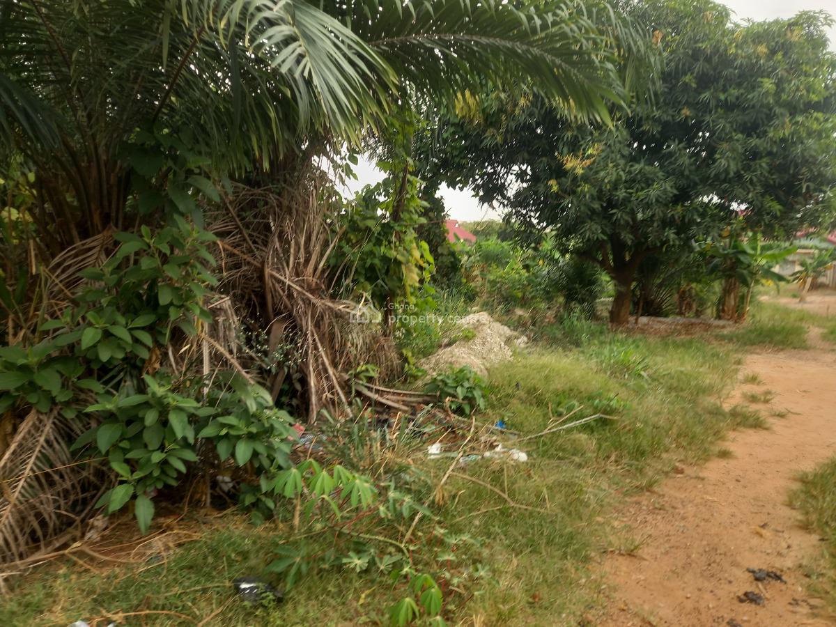 Plot  ( 120*100), Abrepo Bronikrom., Kumasi Metropolitan, Ashanti, Land for Sale
