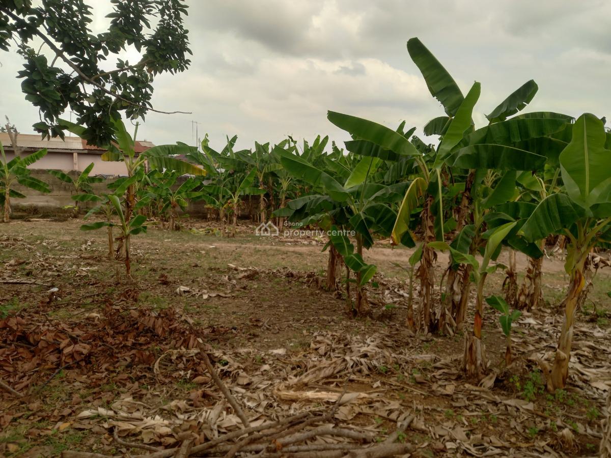 2 Plots, Atafoa, Near Abrepo., Kumasi Metropolitan, Ashanti, Land for Sale