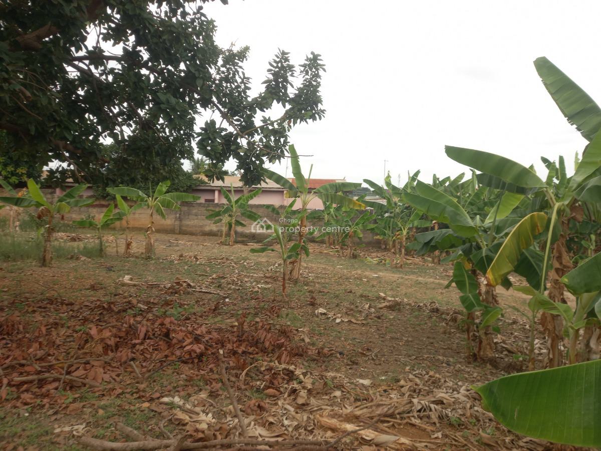 2 Plots, Atafoa, Near Abrepo., Kumasi Metropolitan, Ashanti, Land for Sale