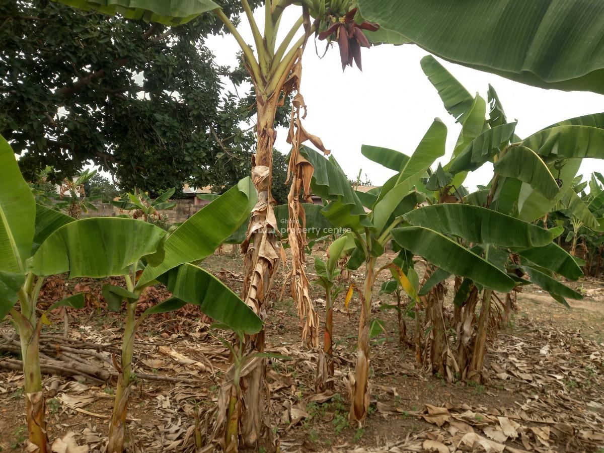 2 Plots, Atafoa, Near Abrepo., Kumasi Metropolitan, Ashanti, Land for Sale