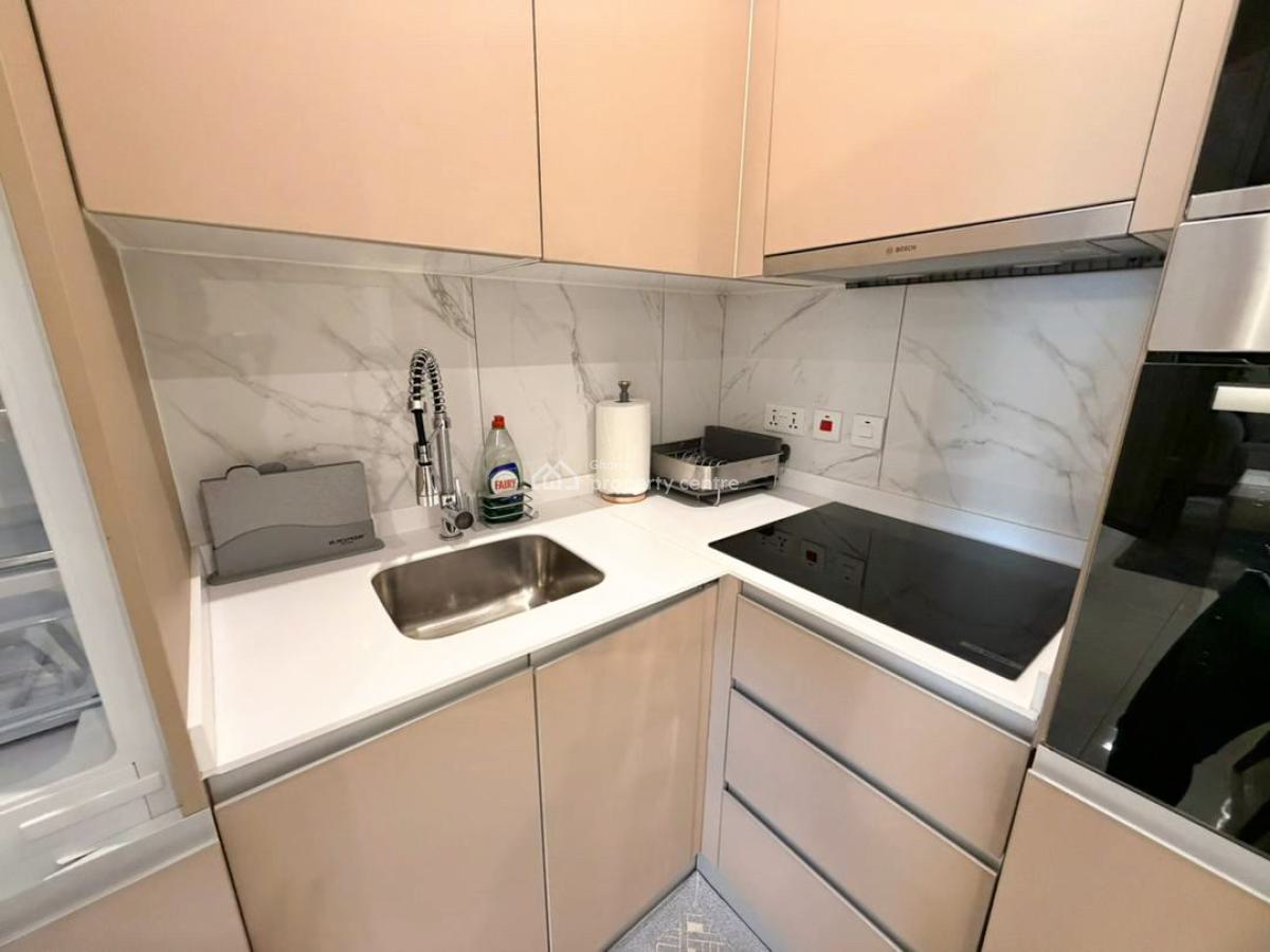 One Bedroom Fully Furnished, Continental Road, Roman Ridge, Accra Metropolitan, Accra, Apartment for Rent