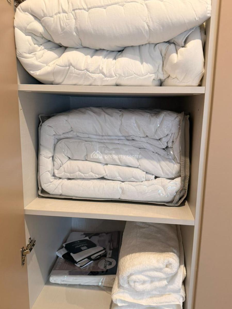 One Bedroom Fully Furnished, Continental Road, Roman Ridge, Accra Metropolitan, Accra, Apartment for Rent