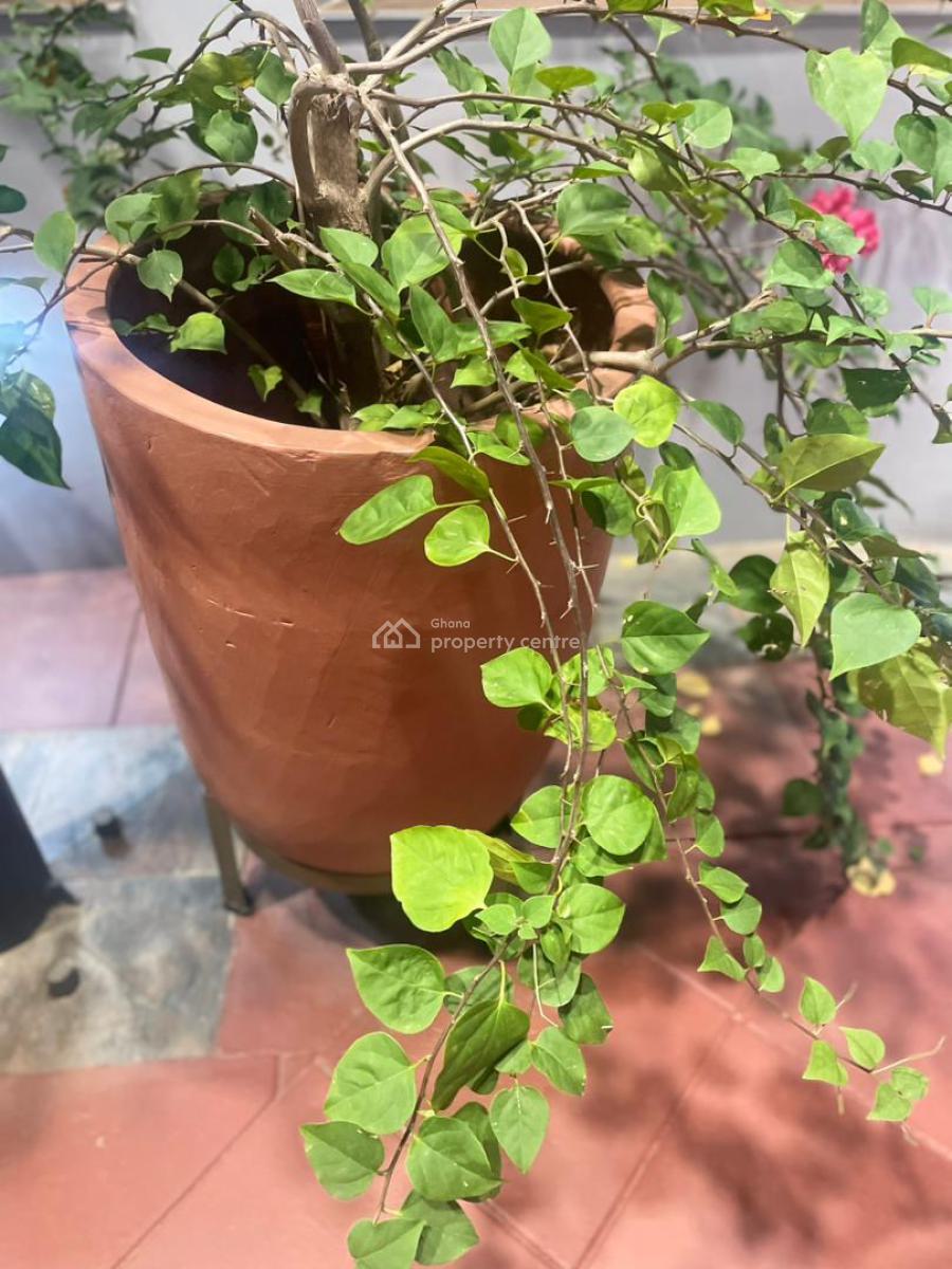 5 Bedroom, Adjiringanor, East Legon, Accra, House for Sale