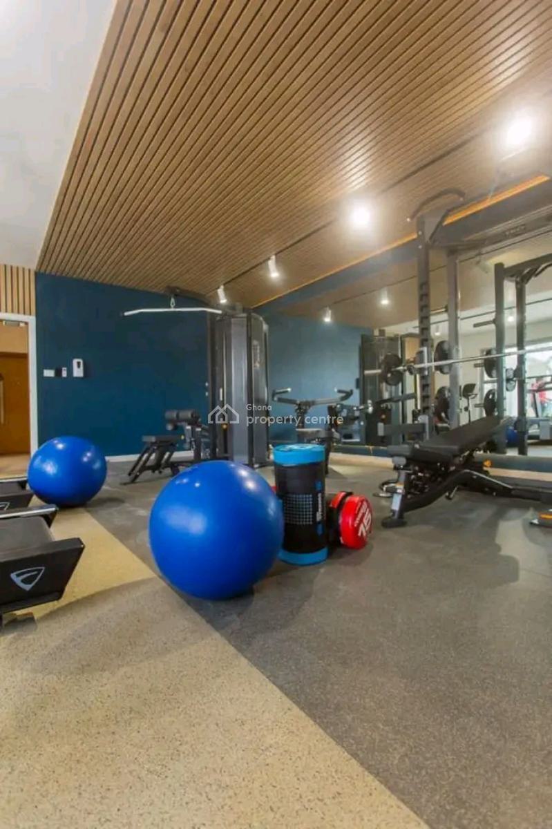 Stylish & Exquisite Fully Furnished One Bedroom Apartment, Cantonments, Accra, Apartment for Sale