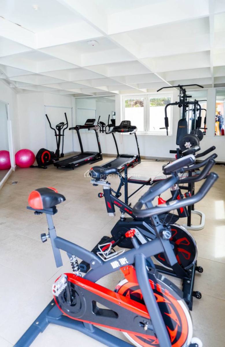 Furnished 1 Bedroom Apartment with Swimming Pool and Gym, Cantonments, Accra, Mini Flat for Rent