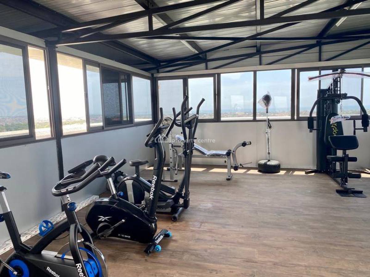 Furnished 1 Bedroom Apartment with Swimming Pool and Gym, Cantonments, Accra, Mini Flat for Rent