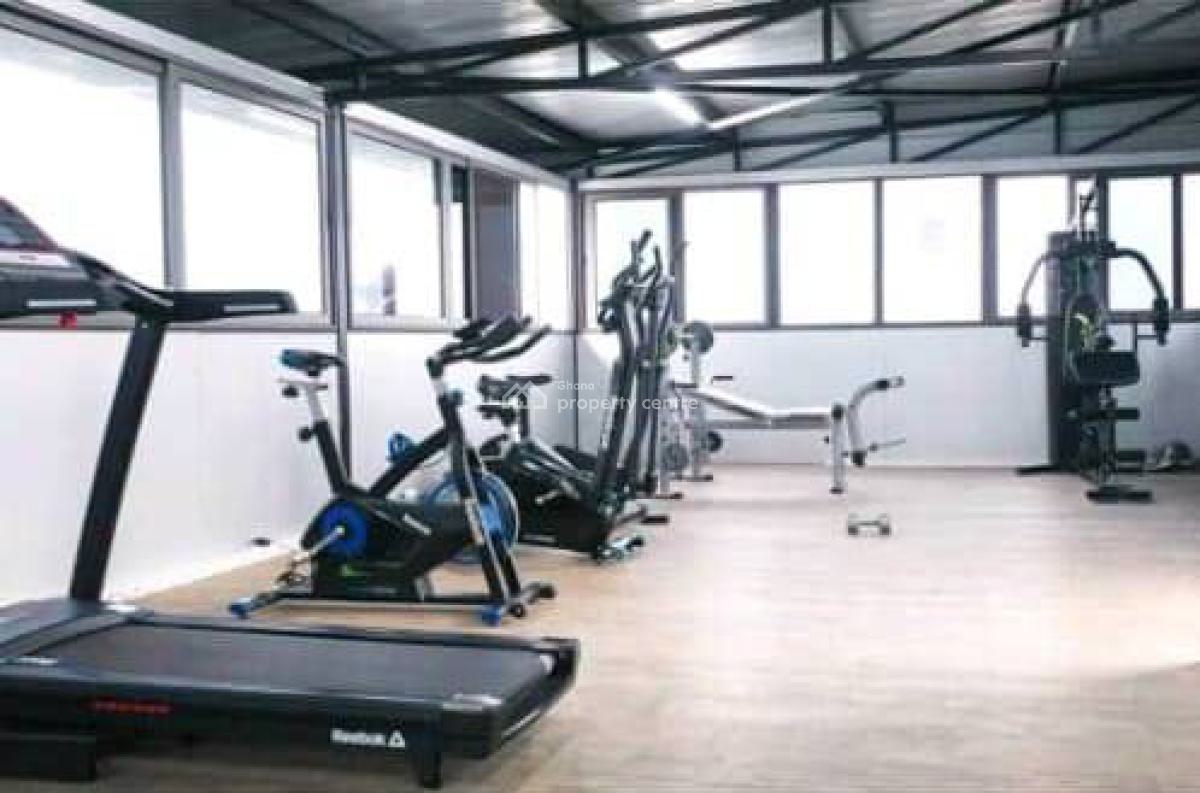 Furnished 1 Bedroom Apartment with Swimming Pool and Gym, Cantonments, Accra, Mini Flat for Rent