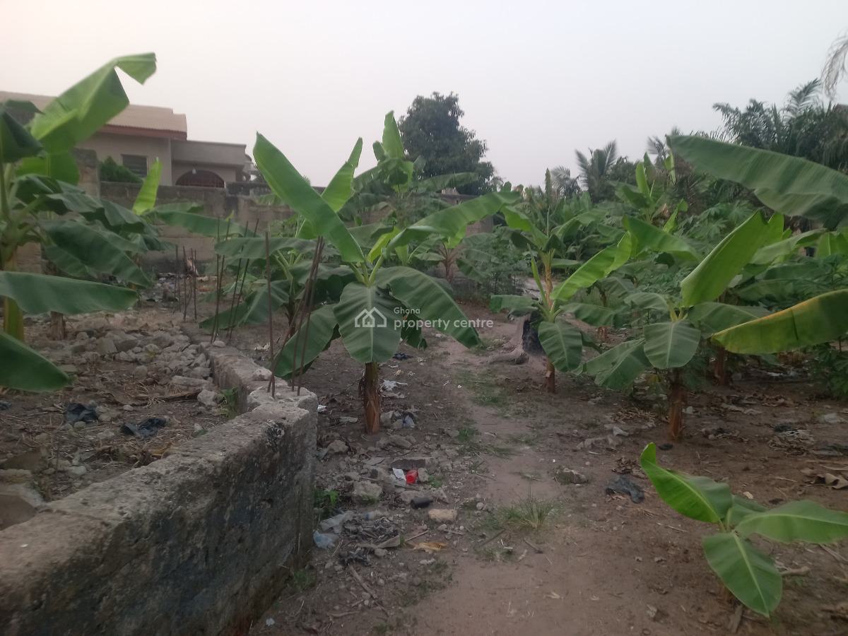 Plot 3rd Plot Main Road, Kenyasi, Near Agyawusu Junction,  Buobai Road., Kumasi Metropolitan, Ashanti, Residential Land for Sale