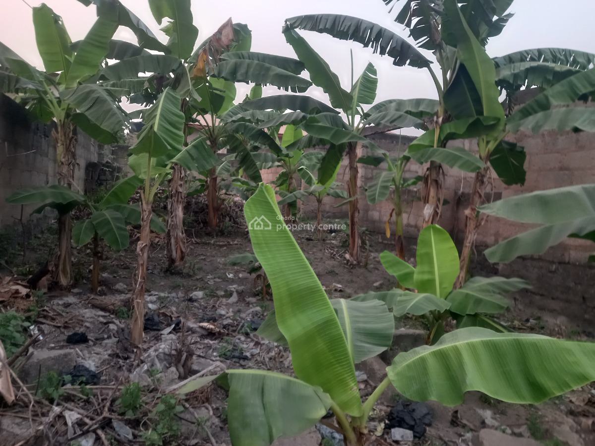 Plot 3rd Plot Main Road, Kenyasi, Near Agyawusu Junction,  Buobai Road., Kumasi Metropolitan, Ashanti, Residential Land for Sale