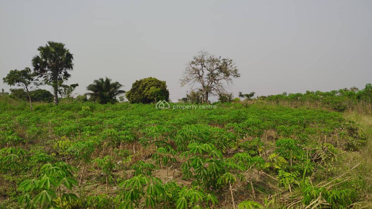 Farm Land, Abutia, Ho Municipal, Volta Region, Commercial Land for Sale