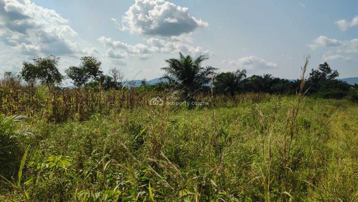 Farm Land, Abutia, Ho Municipal, Volta Region, Commercial Land for Sale