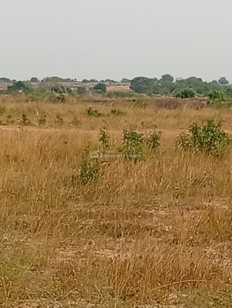 Affordable Land at Ningo Prampram, Ningo Prampram District, Accra, Land for Sale