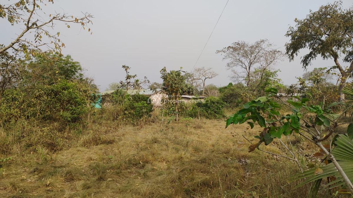 Building Land, Sekode, Ho Municipal, Volta Region, Residential Land for Sale