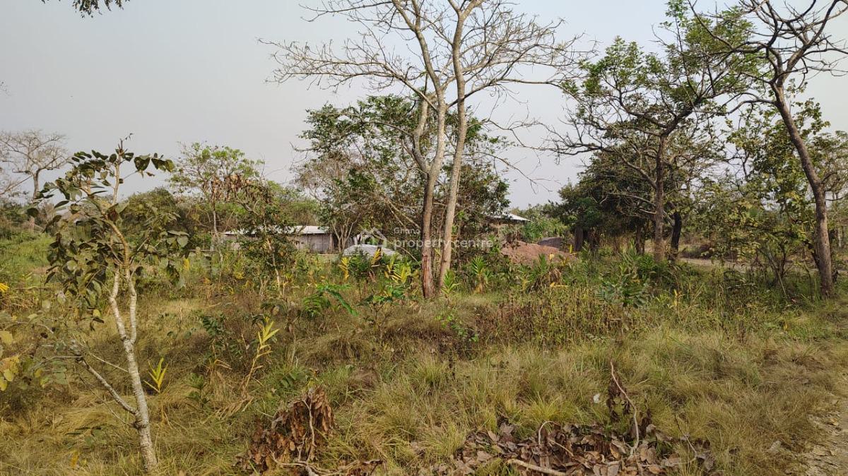 Building Land, Sekode, Ho Municipal, Volta Region, Residential Land for Sale