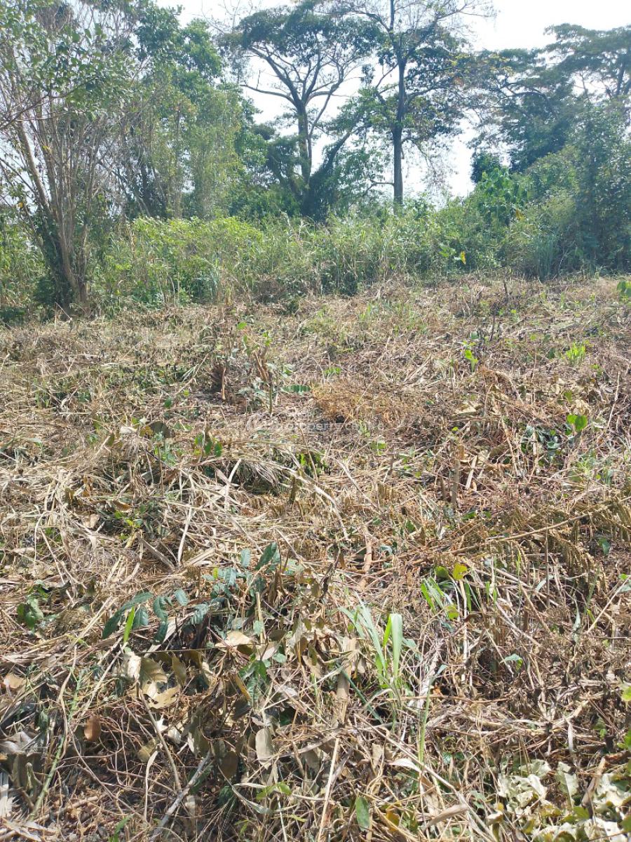 Fertile Farm Land. Price per Acre. (selling : 50 Acres and Above), Begoro Akoradarko, Fanteakwa, Eastern Region, Mixed-use Land for Sale