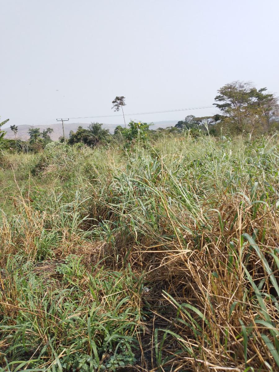 Fertile Farm Land. Price per Acre. (selling : 50 Acres and Above), Begoro Akoradarko, Fanteakwa, Eastern Region, Mixed-use Land for Sale