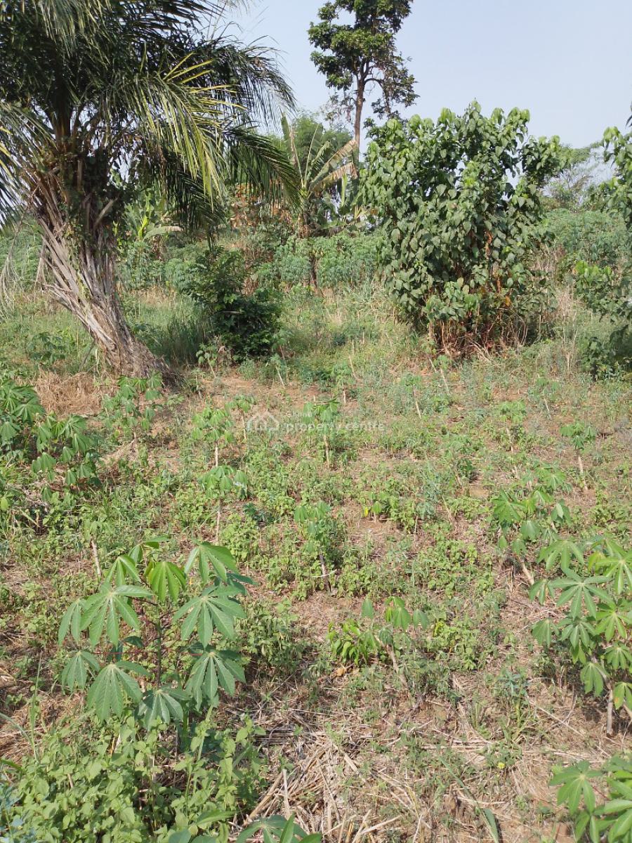 Fertile Farm Land. Price per Acre. (selling : 50 Acres and Above), Begoro Akoradarko, Fanteakwa, Eastern Region, Mixed-use Land for Sale