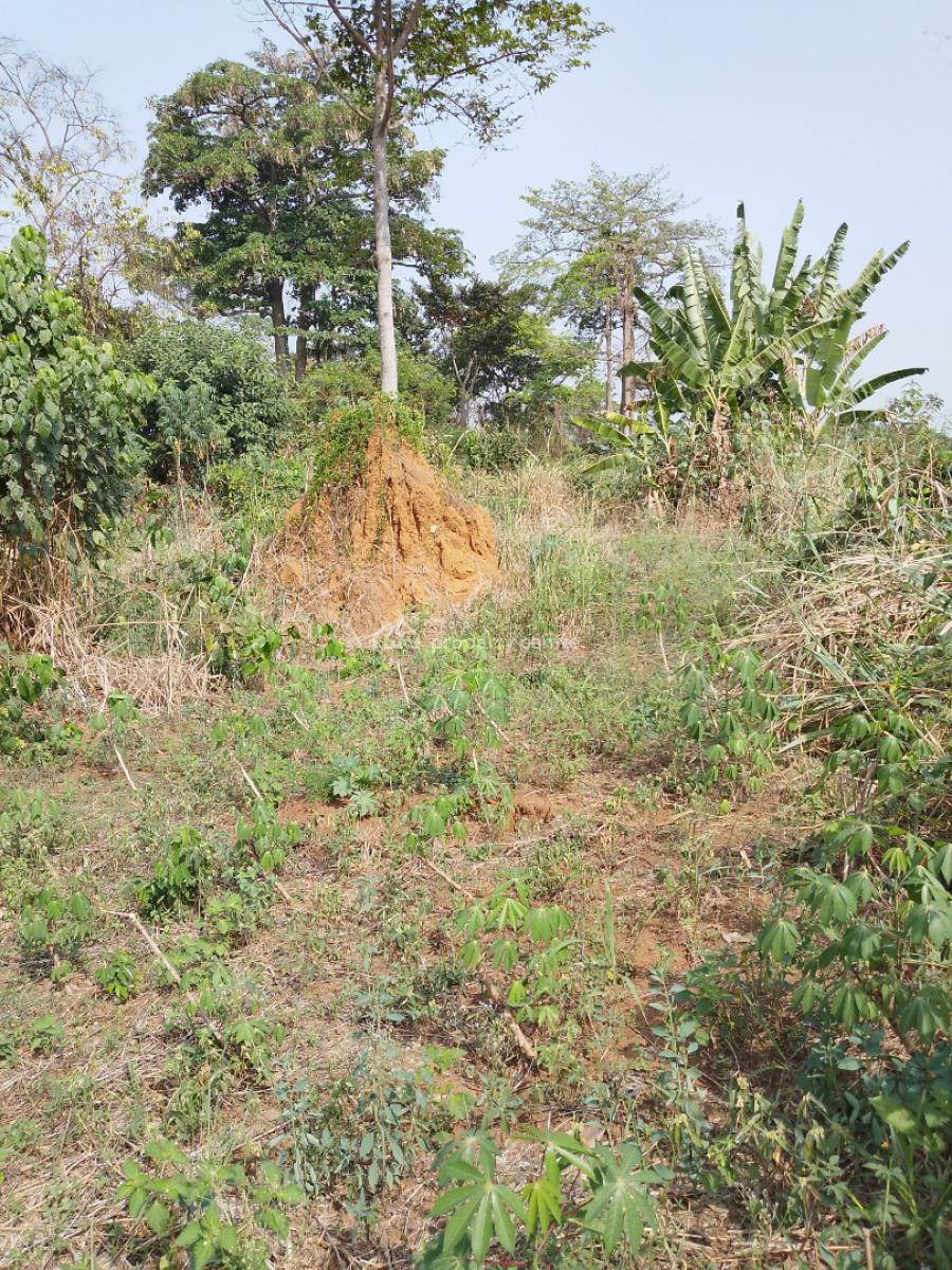 Fertile Farm Land. Price per Acre. (selling : 50 Acres and Above), Begoro Akoradarko, Fanteakwa, Eastern Region, Mixed-use Land for Sale