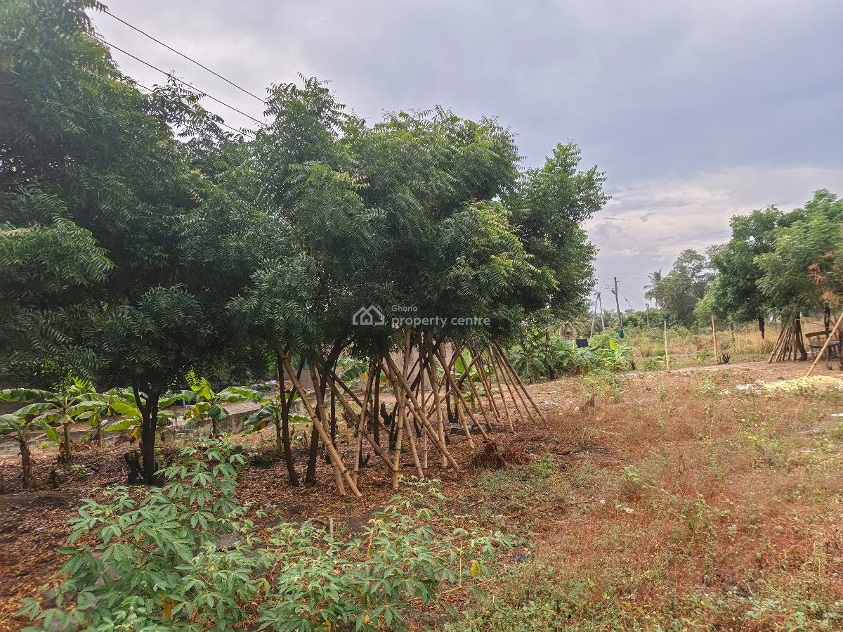 2acres of Land in Tema, Tema Community12, Tema, Accra, Mixed-use Land for Sale