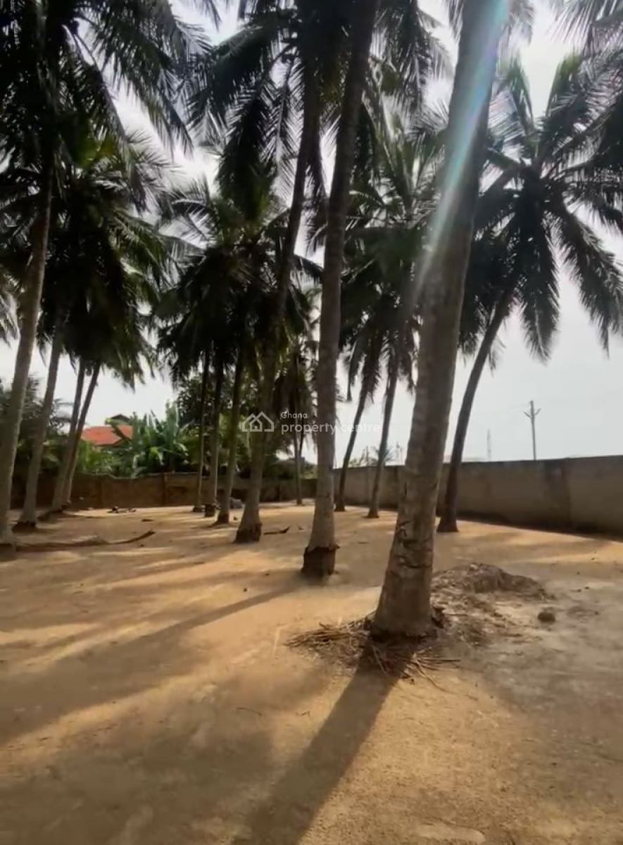 Land 1.13 Acres ( 4573m²) Sea View., Nungua Coco Beach, Nungua East, Accra, Mixed-use Land for Sale