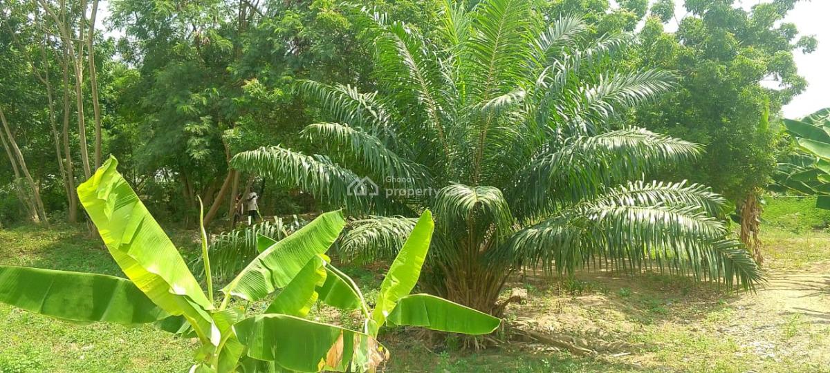 2 Plots of Land, Near Transition, Haatso, Ga East Municipal, Accra, Land for Sale