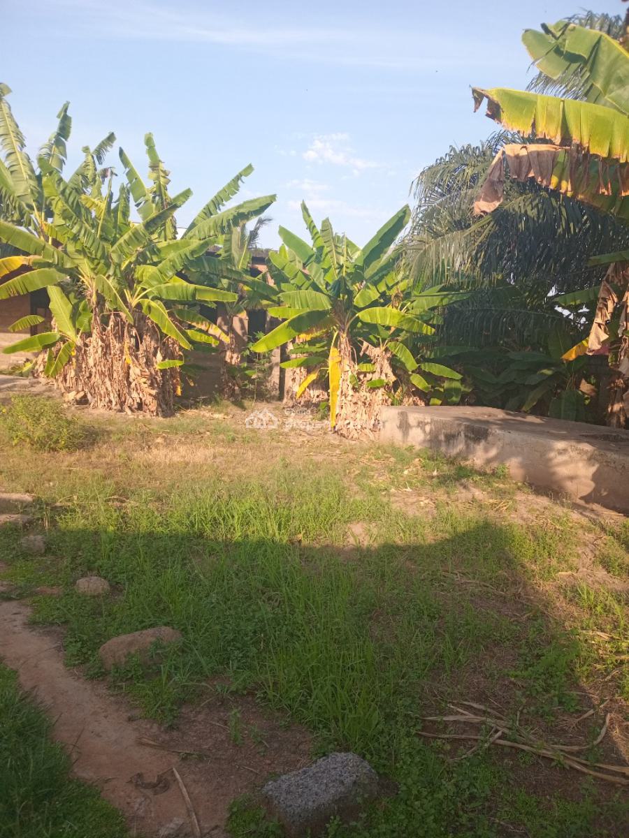 1 Plot of Land Measuring 70 By 100 Feet, Lomnava, Sowutuom, Ga Central Municipal, Accra, Land for Sale