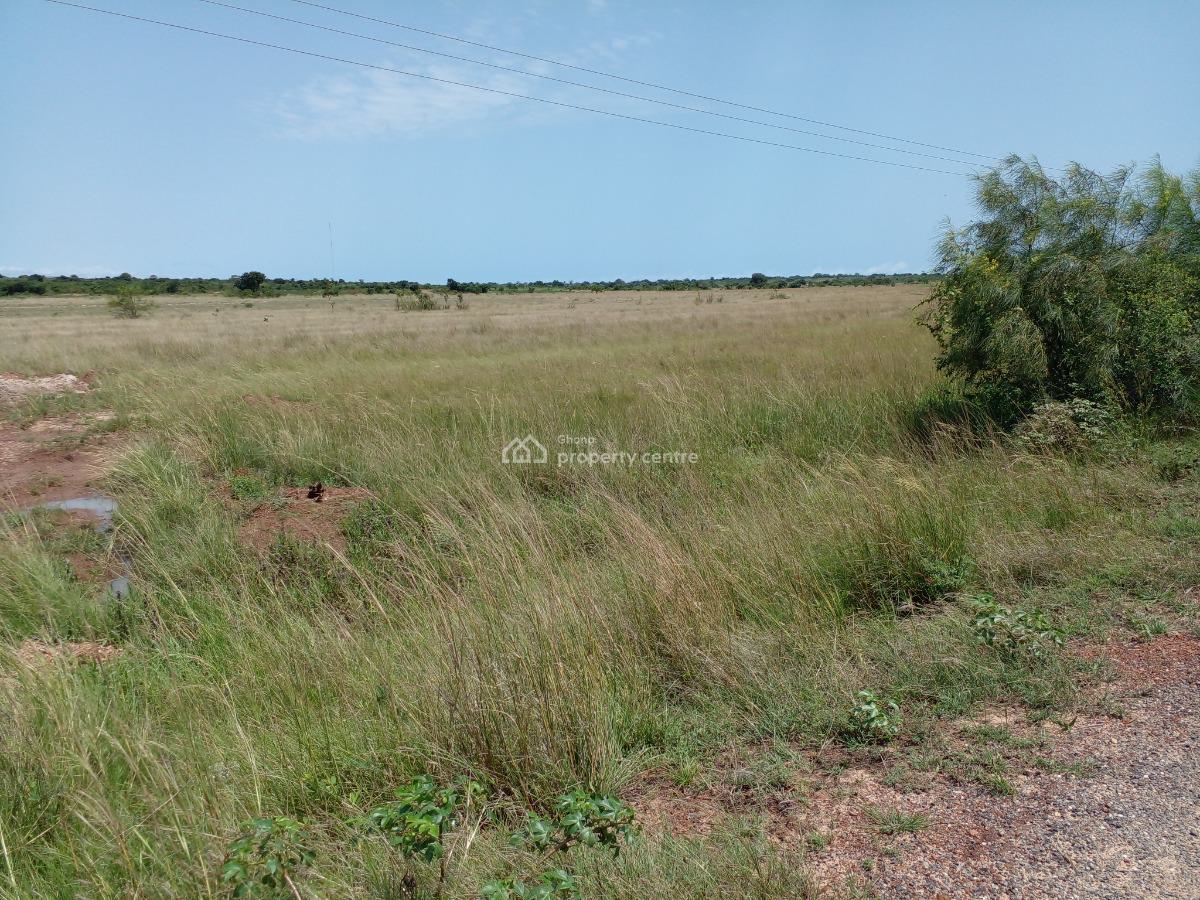 Half Plot Location, Lapleku, After Central University, Dawhenya, Tema, Accra, Residential Land for Sale