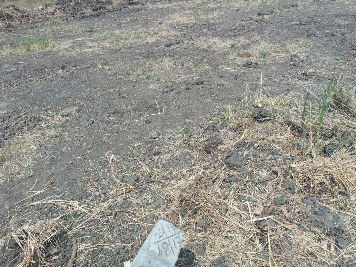 New Airport City Tsopoli Half Plot - Black Friday Promo., New Airport City, Tsopoli, Ningo Prampram District, Accra, Residential Land for Sale