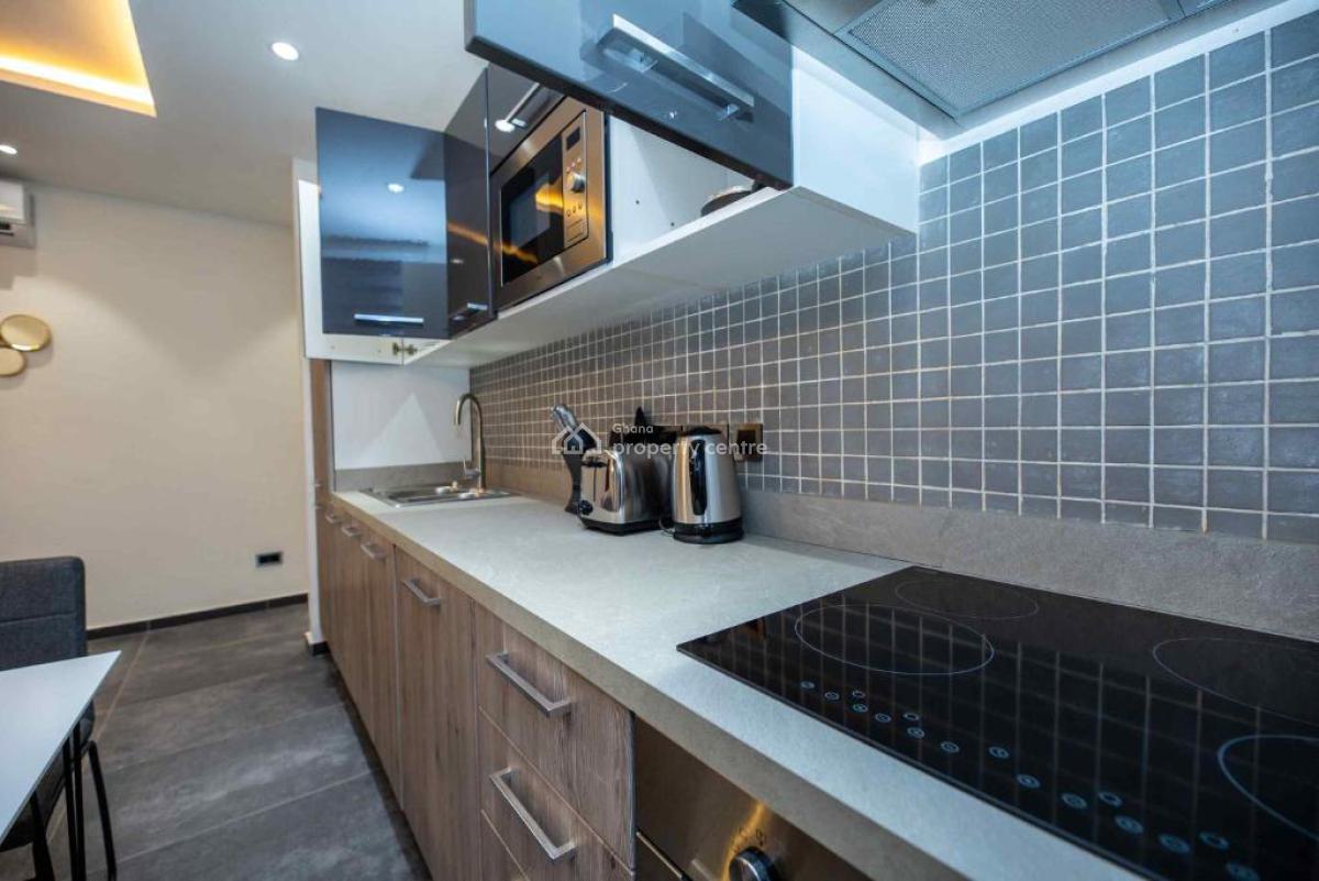 Furnished 1 Bedroom Apartment with Swimming Pool and Gym, Cantonments, Accra, Mini Flat for Rent