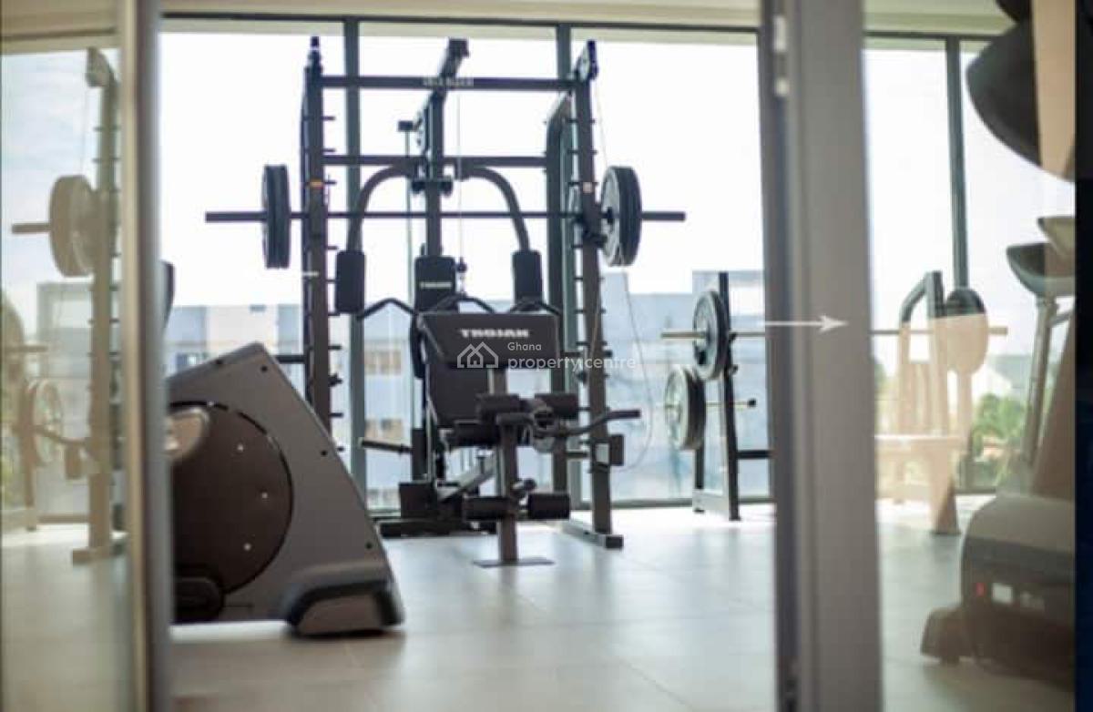 Furnished 1 Bedroom Apartment with Swimming Pool and Gym, Cantonments, Accra, Mini Flat for Rent