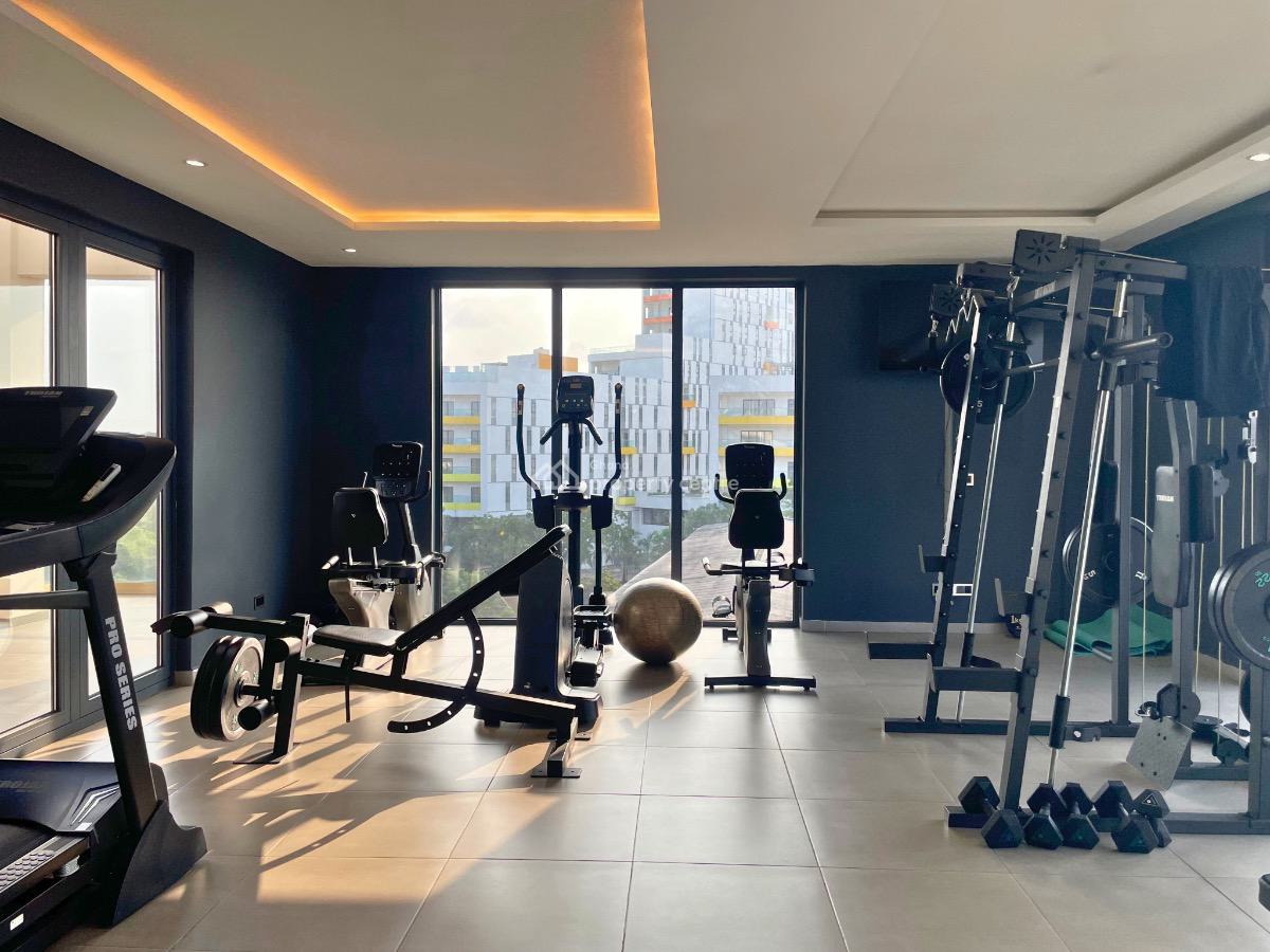 1 Bedroom Apartment with Swimming Pool and Gym, Cantonments, Accra, Mini Flat for Sale